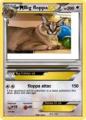 Big floppa