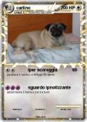 carlino