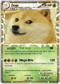 Doge