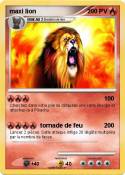 maxi lion