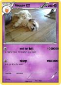 Maggie EX