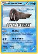 ocean elephant