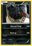 Thug Pug