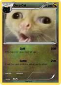 Derp Cat