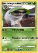 Gato lechuga