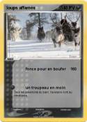 loups affamés