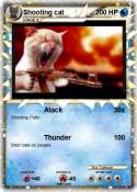 Shooting cat