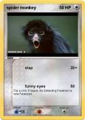 spider monkey