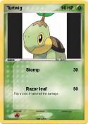Turtwig