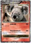 M Mr Koala