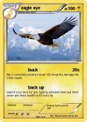 eagle eye