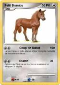 Petit Brumby