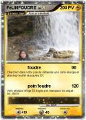 FéLINFOUDRE