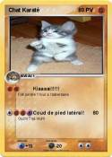 Chat Karaté