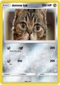 domme kat
