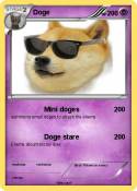 Doge