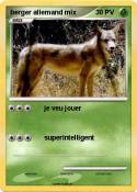 berger allemand