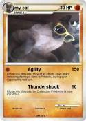 my cat