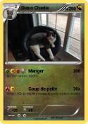 Dieux Charlie