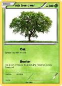 oak tree owen