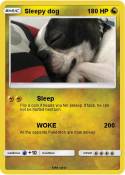 Sleepy dog