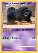 dogue du tibet