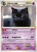 chat en ragé