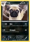 Pug