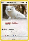 Cute Arctic fox