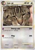 Cute cat