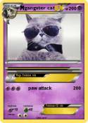 gangster cat