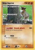 Ninja Squrrial