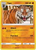 Tiger