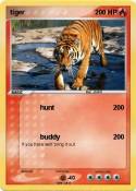 tiger