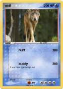 wolf