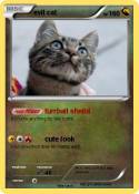 evil cat