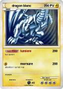 dragon blanc