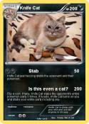 Knife Cat