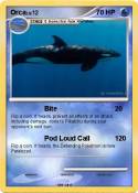 Orca