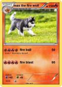 max the fire