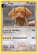 dogo