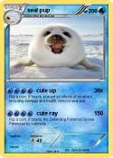 seal pup
