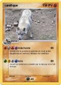 canifique