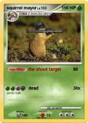 squirrel mayor