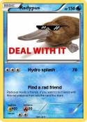 Radypus