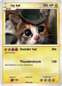 my kat