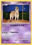 deerhound