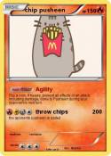 chip pusheen