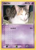 chat fou