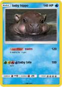 baby hippo